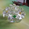 Crystal Flower craft