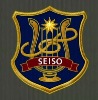 Wholesale B0459 woven patches