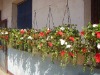 Artificial Flowers with Hanging Baskets