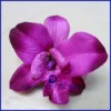 artificial flower Silk fascinator barrette with satin flower brooches head flower ornaments, fabric brooches