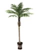 sell artificial palm tree 2.5M
