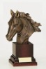 Souvenir (sport trophies)