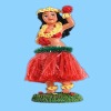 hual souvenir