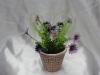 2011 Latest Decorative Flower Bonsai