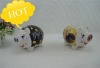 piggy bank(money box,coin bank) with different color