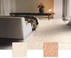 Wholesale 600x600mm Unglazed floor tile
