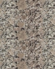 Wholesale Granite Supplier G383 Slabs and Tiles