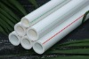 Wholesale high quality for health water supply ppr pipe