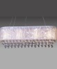 Modern fashion chandelier light