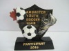 Wholesale soccer trophy