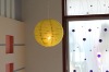 8" round brown paper lanterns/picture printed available