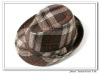 Wholesale Fashional plaid Fedora/bucket for men and women /top hat