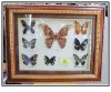 Wholesale 2011 Wooden wall frame