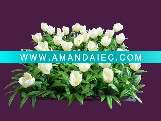 - Click Image to Close