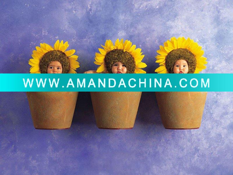 - Click Image to Close