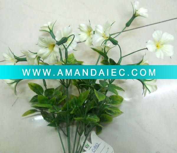 - Click Image to Close